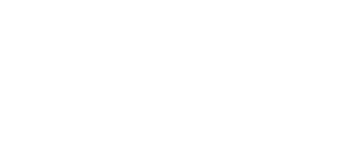 Blue's Hotshot Service LLC logo.